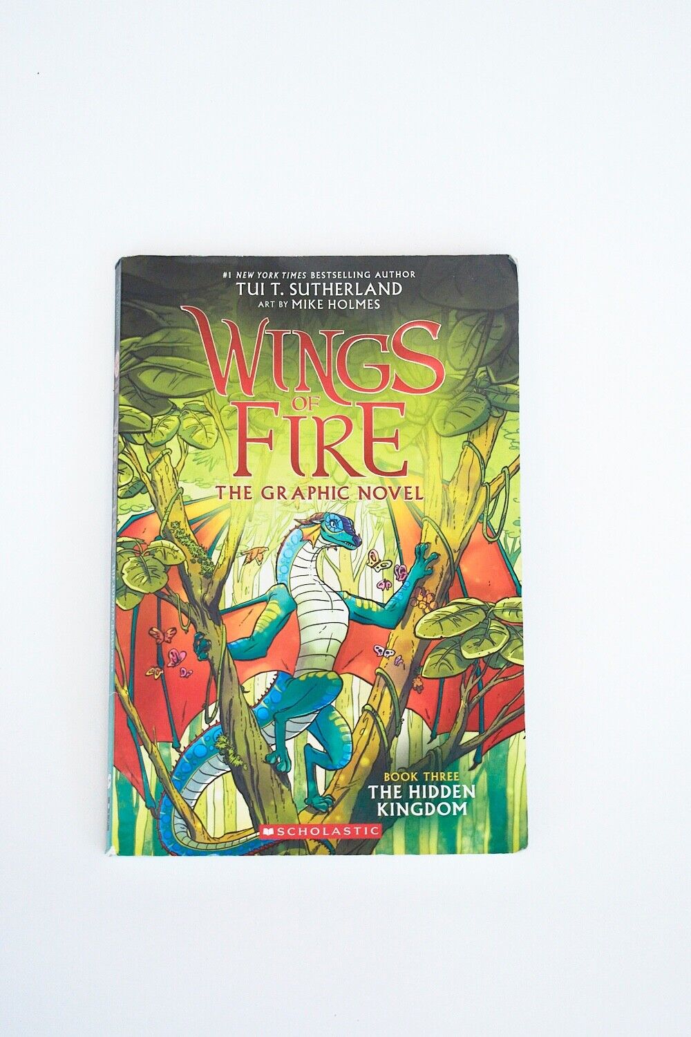 The Hidden Kingdom Wings of Fire Graphic Novel 3A Graphix Book Very GOOD