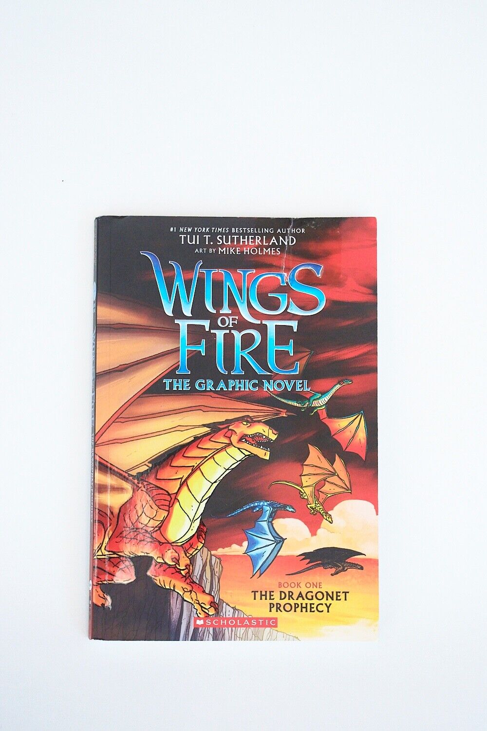 A Graphix Book Wings of Fire Graphic Novel 1 The Dragonet Prophecy GOOD